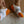 Laden Sie das Bild in den Galerie-Viewer, Bequem_2,Bequem